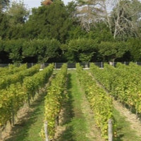 Les Charmes - blanc 2021