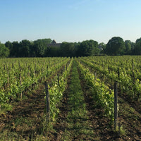 La Cure 2011 - Charles Joguet