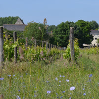 La Cure 2010 - Charles Joguet