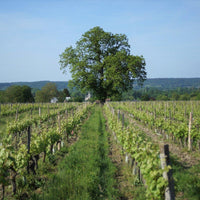 Les Charmes 2014 - Charles Joguet