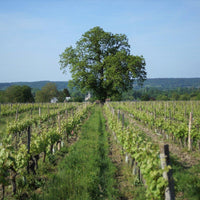 Les Charmes 2012 - Charles Joguet