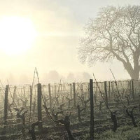 Les Varennes du Grand Clos 2018 - Charles Joguet