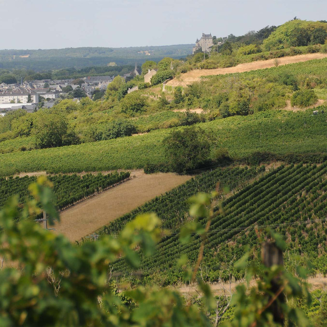 Clos du Chêne Vert 2024 "En-primeur"